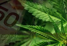 Massive stash – Canadian legal pot sales add up to $43m in first two weeks after legalization