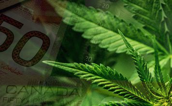 Massive stash – Canadian legal pot sales add up to $43m in first two weeks after legalization