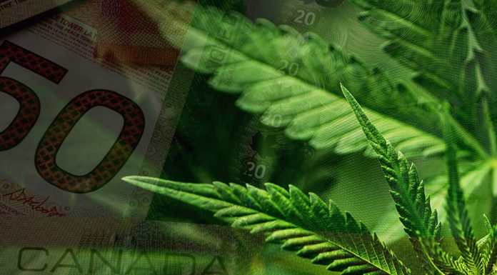 Massive stash – Canadian legal pot sales add up to $43m in first two weeks after legalization