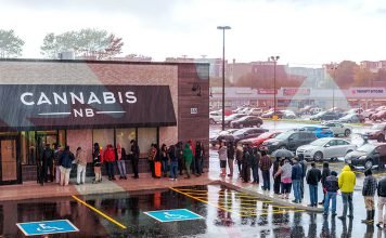 5Dubs Report: Canada Amidst Cannabis Distribution Crisis
