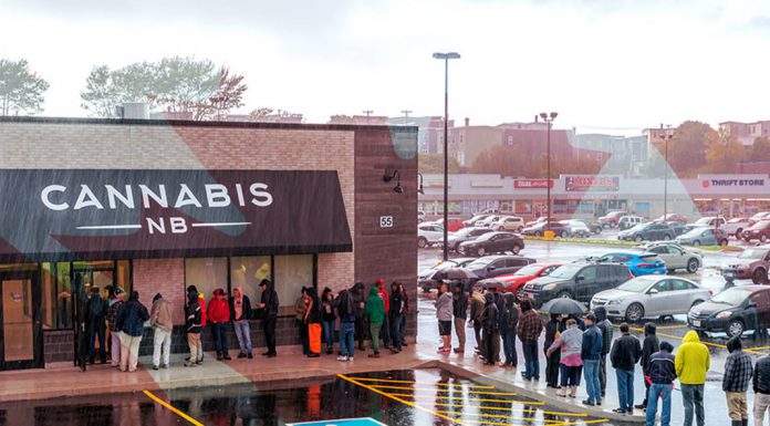 5Dubs Report: Canada Amidst Cannabis Distribution Crisis