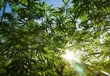 The Good, the Bad & the Ugly