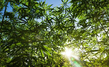 The Good, the Bad & the Ugly