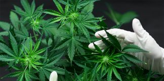 It’s Coming and We Can’t Wait