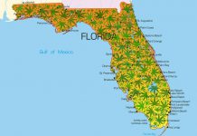 New Bill Could Bring State-Level Decriminalization of Marijuana to Florida