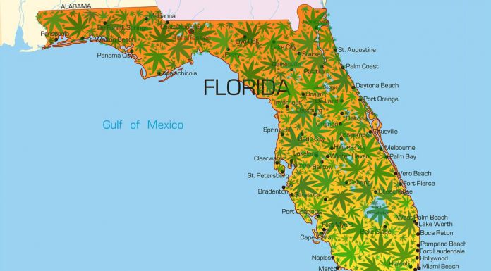 New Bill Could Bring State-Level Decriminalization of Marijuana to Florida