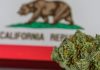 California’s illegal sales continue to hinder legal market