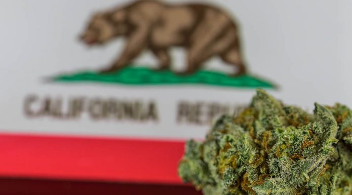 California’s illegal sales continue to hinder legal market