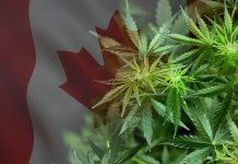 Bumps and Other Growing Pains