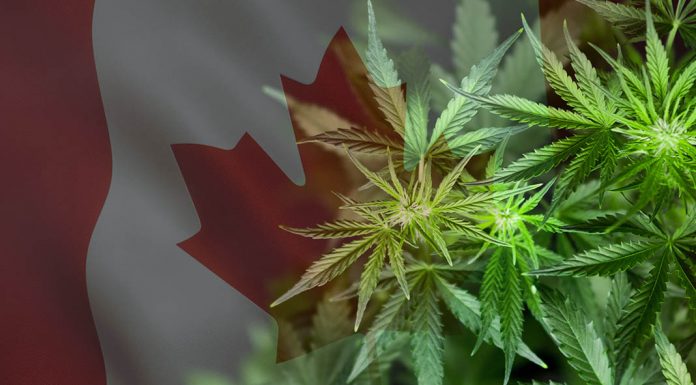 Bumps and Other Growing Pains