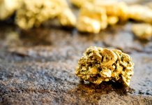 Should I Stay or Should I Go?