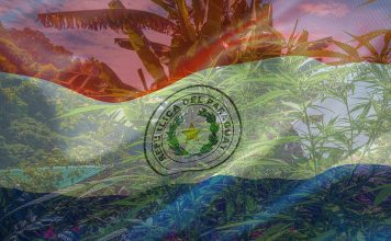 Paraguay legalizes and regulates cannabis oil production